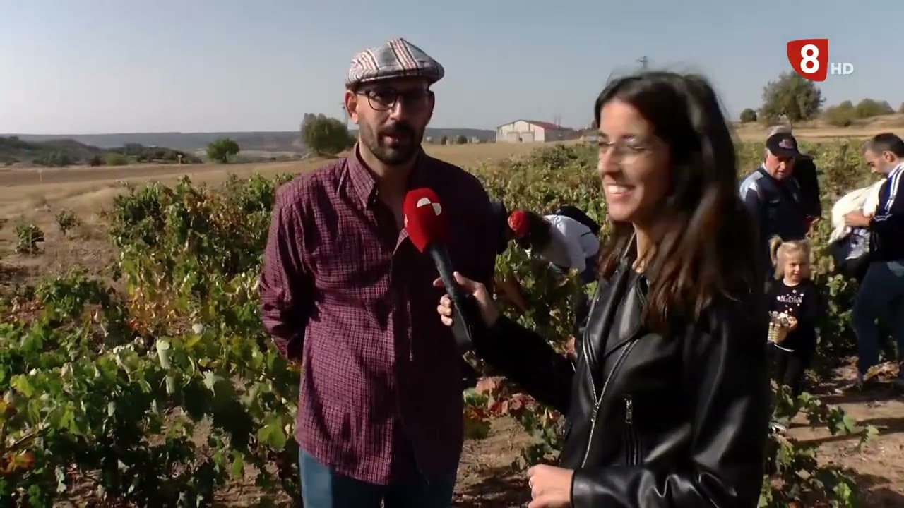 LANGA DE DUERO XXIV JORNADAS DE LA VENDIMIA