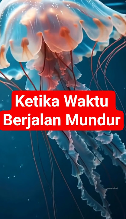 When Time Goes Backward