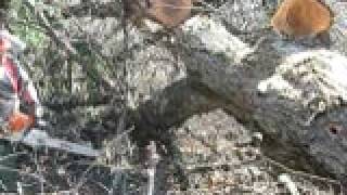 vids charity cut 4-17-2010 012.avi