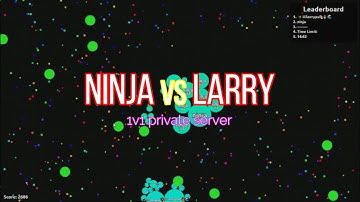 Agar.io - 1v1 vs larrypult