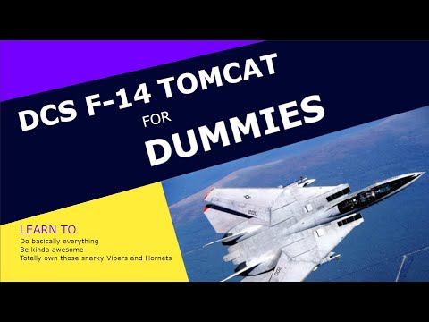 DCS F-14 Tomcat for DUMMIES Chapter 4: AWG-9 for RIOs