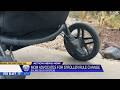 Chico mom's advocacy changes B Line stroller policy