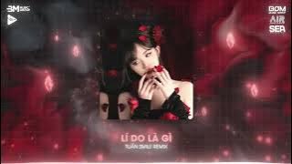Nhạc Remix Tab Thịnh Hành 2025 🎼 Lý Do Là Gì (Tuấn Smile Remix) - BXH Nhạc Remix Hay Nhất  2025