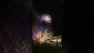 New Year’s Eve at The Biltmore 2020