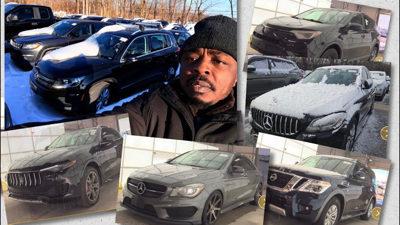 TUESDAY AUCTION CARS,HOW MANY CARS DO YOU WANT TO BUY?