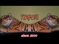 PAANO KO NILIGO SI TIGER MY TWENTY 20 YEARS OLD TIGER PAANO KO NILIGO SI TIGER MY TWENTY 20 YEARS OLD TIGER