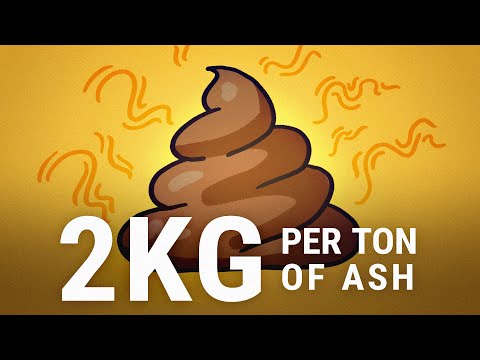 How Much Gold Is In Our Poop