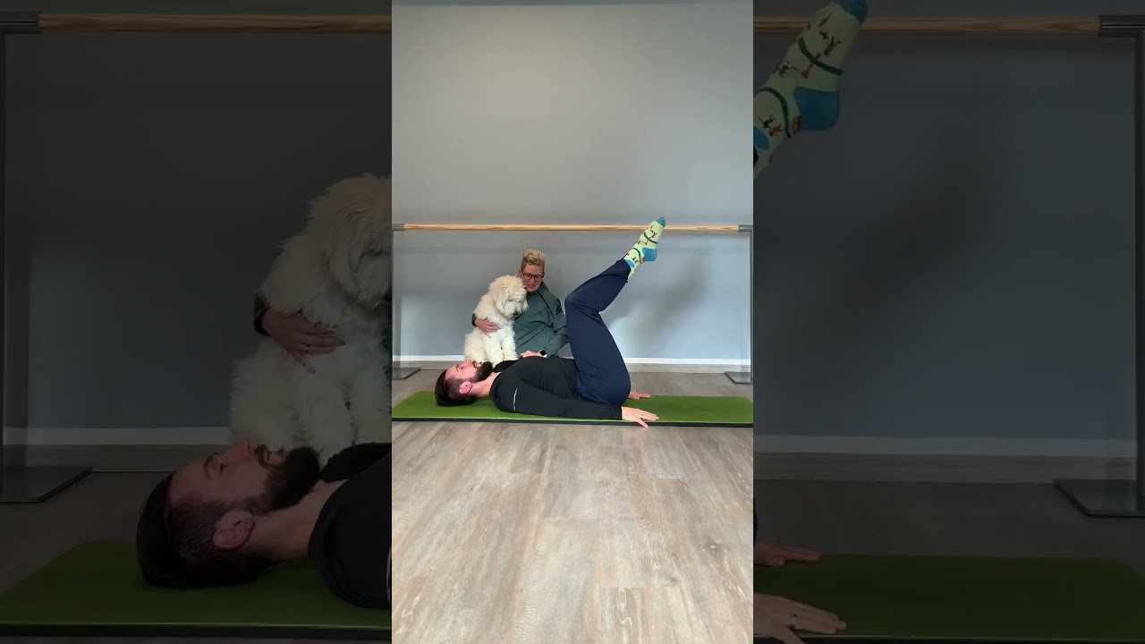 Roll Over Variation-Try to lift the hips off with bent legs! 