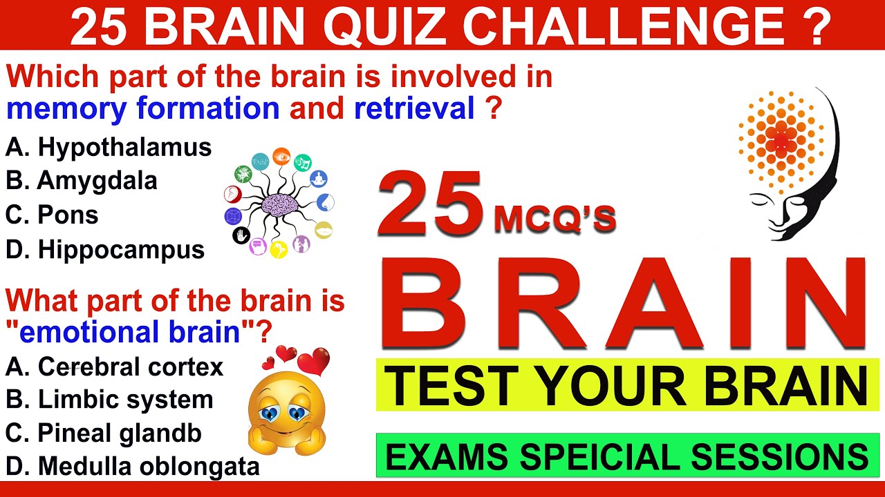 25 MCQ BRAIN QUIZ | MCQs on Human Brain for NEET 2024 | Nervous System MCQ