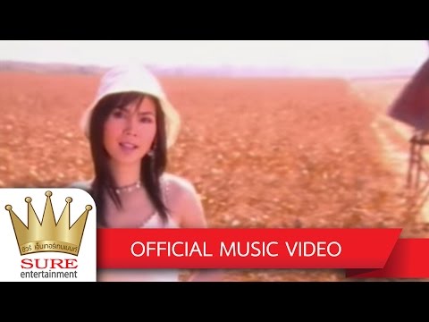 ดั่งนกเจ็บ - ฝน ธนสุนทร [OFFICIAL MV]