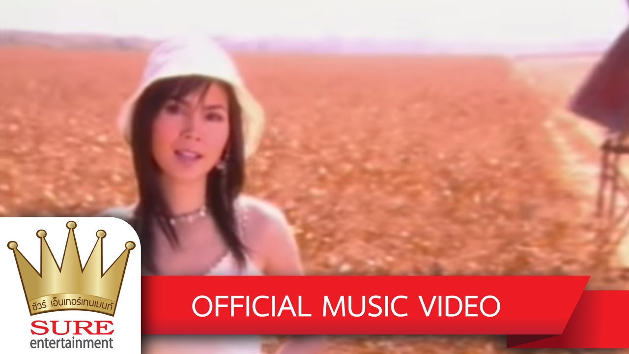 ดั่งนกเจ็บ - ฝน ธนสุนทร [OFFICIAL MV]