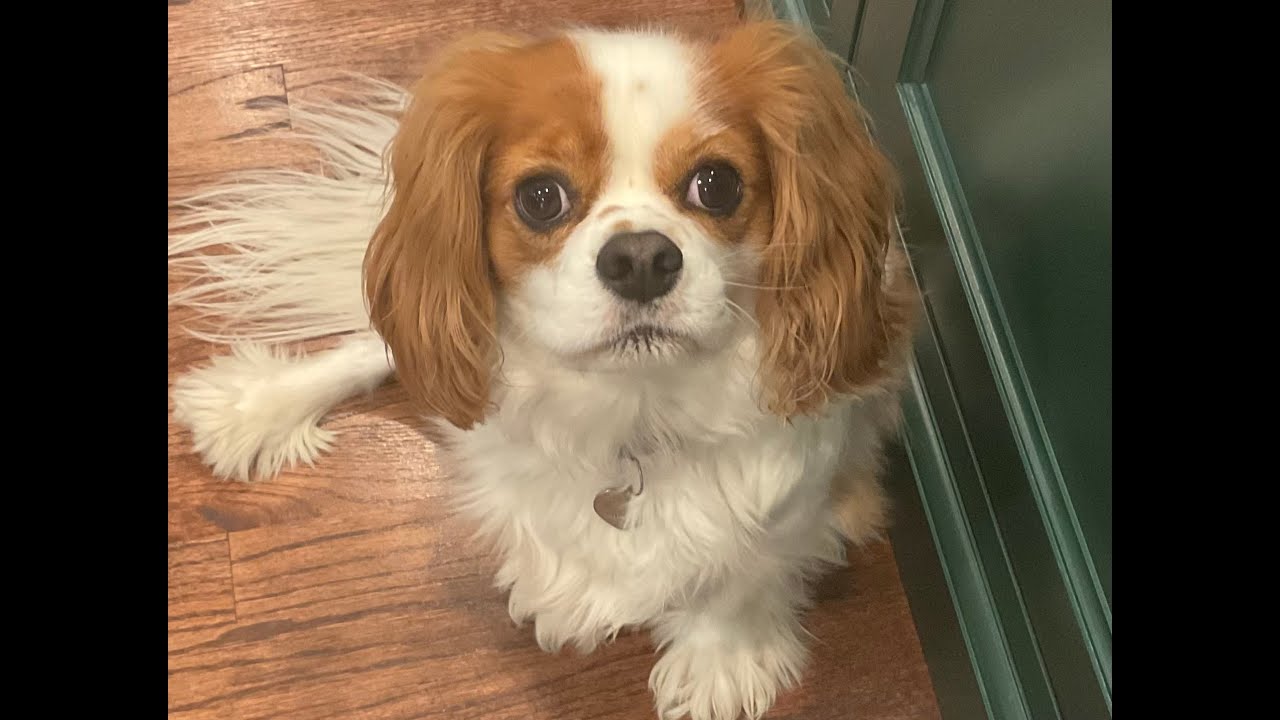 Top 6 favourite lego builds in my collection