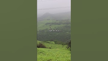 قران كريم بصوت القارئ عبدالرحمن مسعد #quran #religion #explore #قرآن #nature #reels