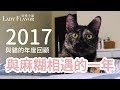 2017是與麻糊相遇的一年！【好味貓日常】第一季｜EP4