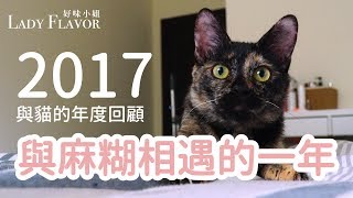 2017是與麻糊相遇的一年【好味貓日常】第一季EP4