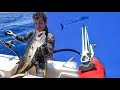 Bluewater spearfishing catch  cook
