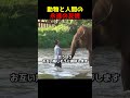 動物と人間の永遠の友情