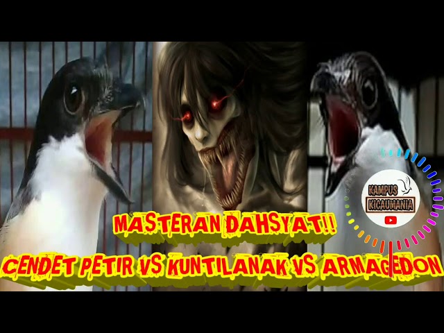 MASTERAN KUNTILANAK VS GREJA CENDET PETIR VS ARMAGEDON TERBARU !!! MUDAH DITIRU ! class=