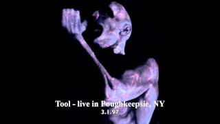 Tool - 46 &amp; 2 (live Poughkeepsie 97) - HQ audio