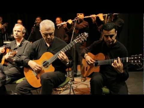 Grupo Araciel