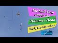 FlightReviewz How To: Flying The Stall Turn (HammerHead)