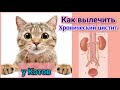 Хронический цистит. Лечение без таблеток и уколов.
