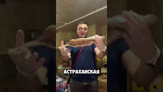 #вобла #толстолобик #лещ #щука #жерех #ростов #волгоград #астрахань