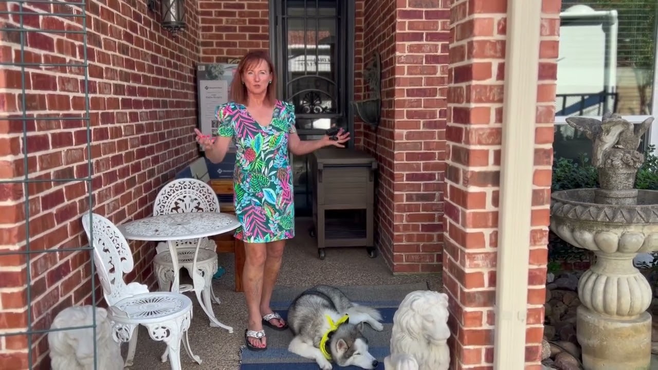 Dog Training Fort Worth | Tip Top K9 Reviews