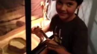 Famous How to care for a Stimson python Net Worth