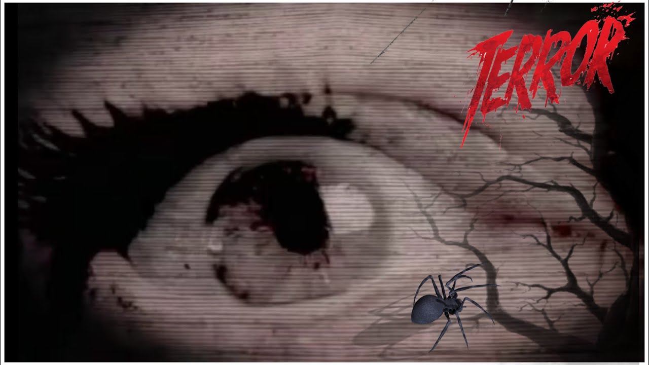 MIEDO SUSPENSO Y ADRENALINA EPISODIO 8