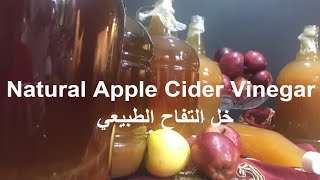 How to make Homemade APPLE CIDER VINEGAR | ACV| طريقة تحضير خل التفاح الطبيعي في المنزل screenshot 5