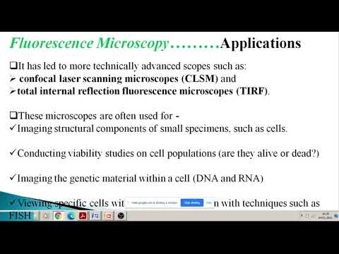 Fluorescence Microscopy Applications