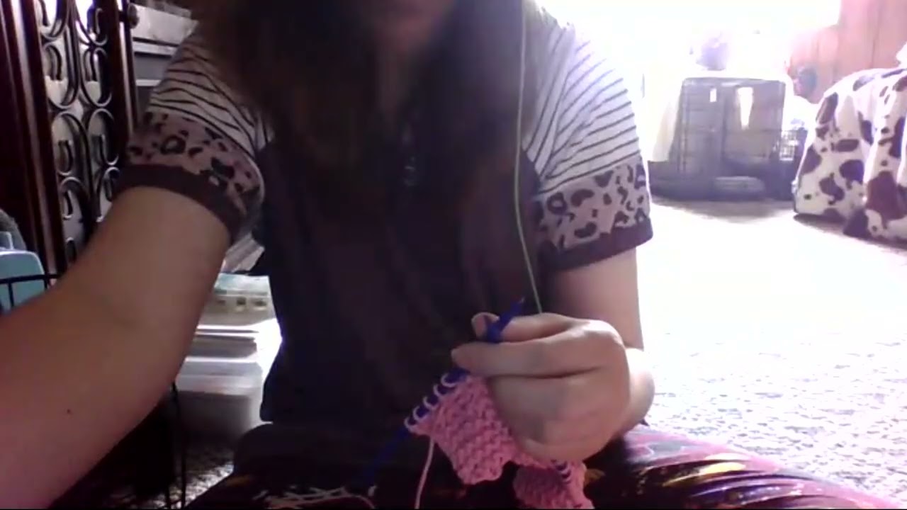 Knitting A Dish Rag