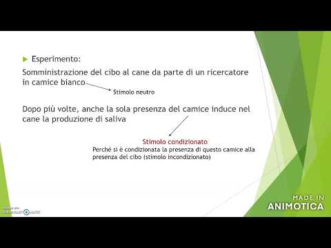 Video: Quali sono le principali teorie dell'educazione?