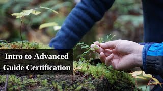 Intro to Advanced Guide Certification