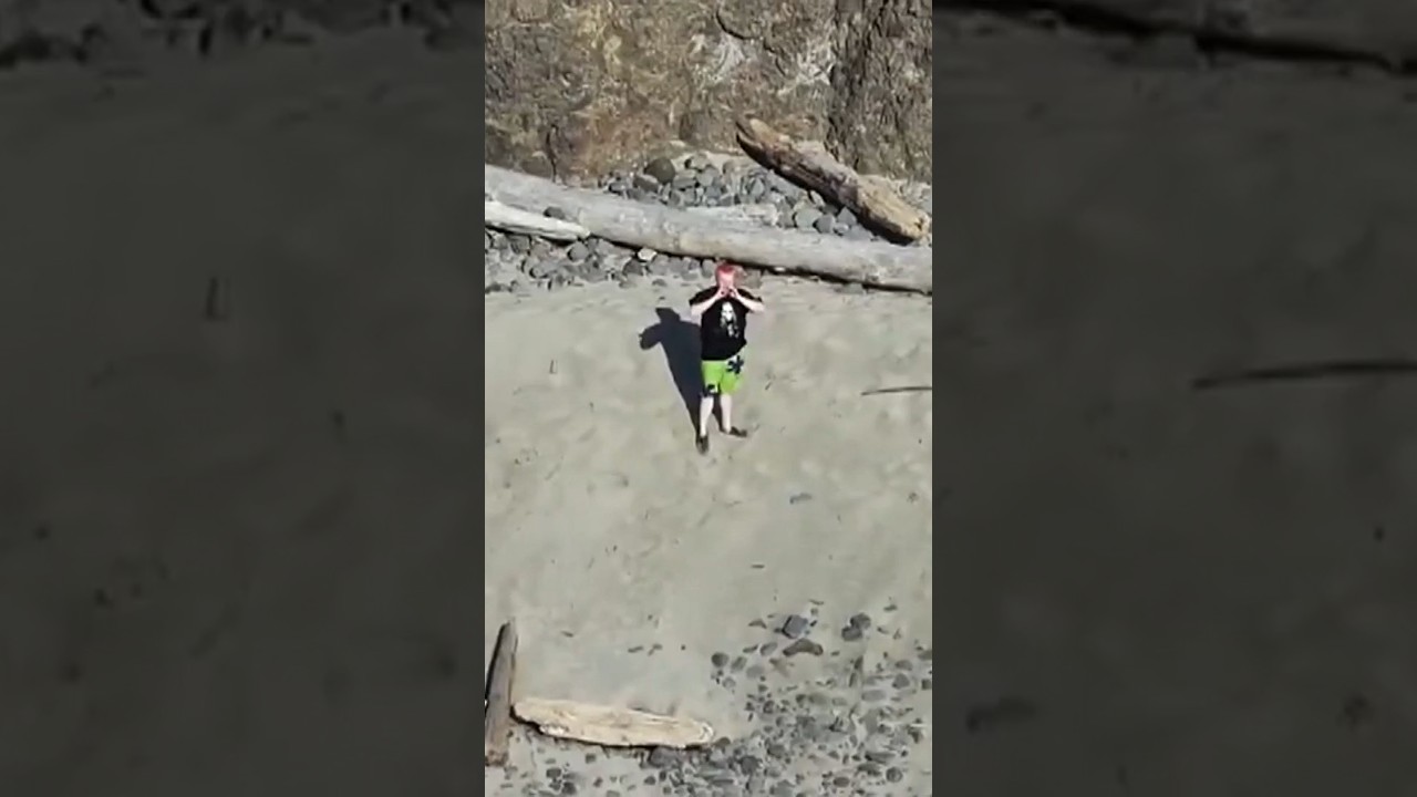 Tourists gets rescued after spelling ‘SOS’ with driftwood Tourists gets rescued after spelling ‘SOS’ with driftwood