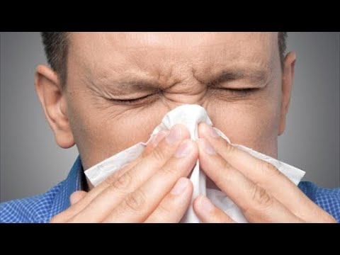 Video: Si të qetësoni një hundë të lënduar dhe të acaruar pas një fryrje të shpeshtë