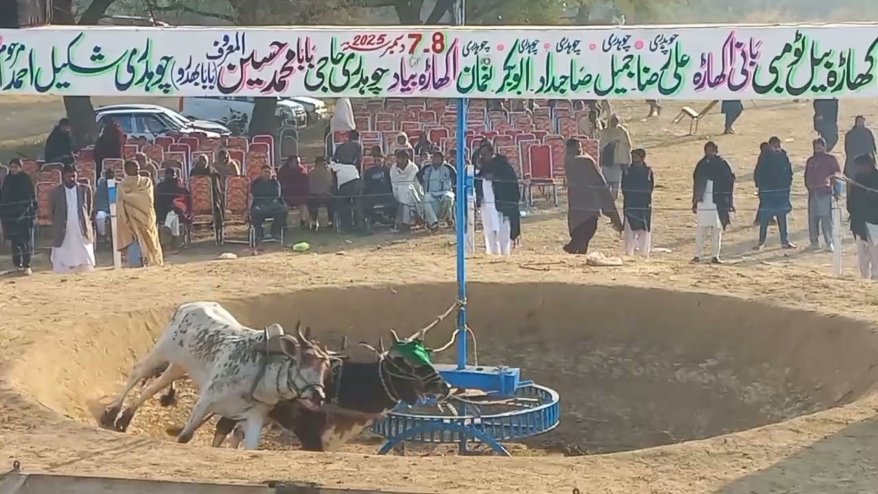 Raja Fakhar Sohail of Naseera Gujrat | Akhara Bail Tombi Kikrali Gujrat 7,8 December 2025