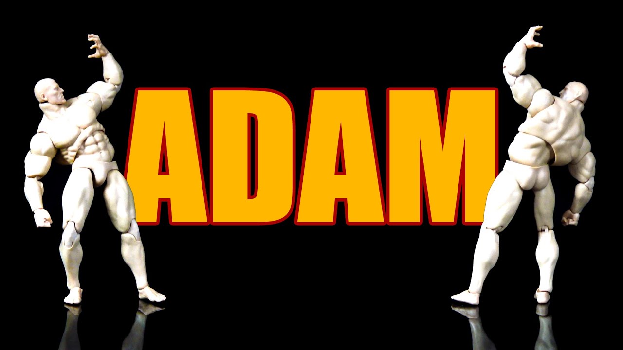 Ep739 ADAM 1/12 Super Strong Body (Muff Toys) REVIEW