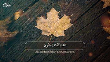 Surah Ad Dukhan   تمنيت ان لا يتوقف عن القراءة   القارئ هلويست نصرالدين