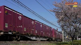 [4K60P]3082ㇾ EF64 1000番台 伯備線貨物列車