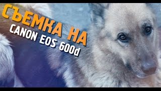 CANON EOS 600d Пример съемки | Видео тест(Проба съемки видео на CANON EOS 600d., 2015-01-11T20:25:28.000Z)