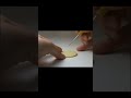اجمل كرتون في العالم الفار الطباخ
