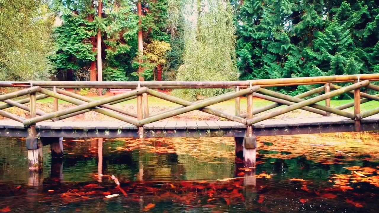 OranjeWoud Friesland (DJI Spark)