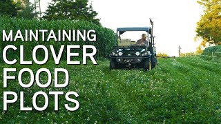 Maintaining CLOVER FOOD PLOTS | Spraying & Mowing