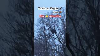 The American Eagle 🦅but in Canada🇨🇦 that’s an Eagles 🦅 and I think I see the eagle right beside