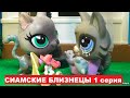 LPS: Сиамские близнецы 1 серия