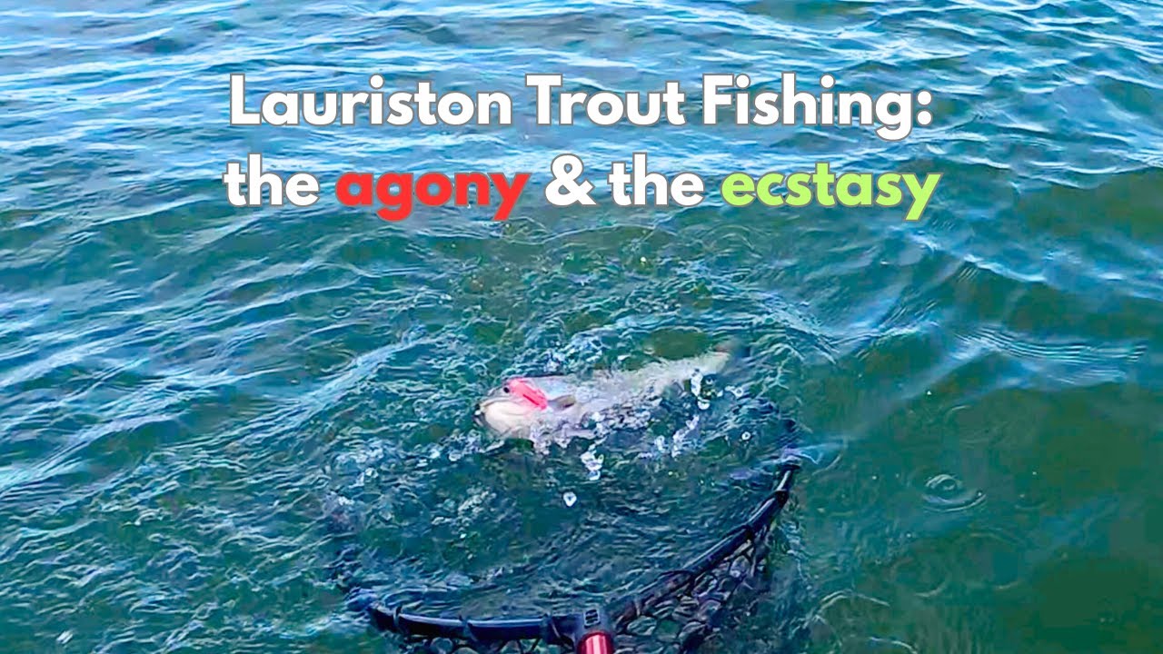 Ловля форели в Лористоне: муки и восторг.