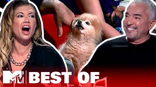 Cute (& Terrifying!) Dog Moments 🐶 Best Of: Ridiculousness | #AloneTogether