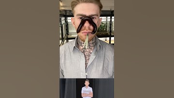 Rết khổng lồ bò lên người có đáng sợ ?